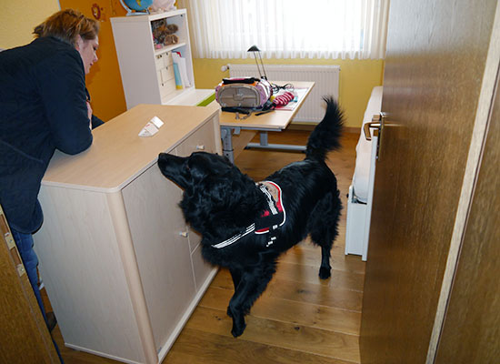 Schimmelsp&uuml;rhund